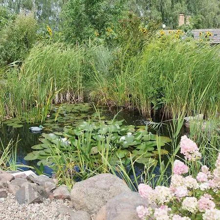 Apartmenthaus Am Grienericksee Apartment